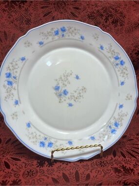 Classic White Porcelain Dinner Plate with Blue Floral Trim  Arcopol France Roman